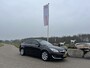 Opel Insignia 1.6 CDTI EcoFLEX Business+ XENON LEER LED NAVI CRUISE ECC TREKHAAK