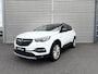 Opel Grandland X 1.2 Turbo Business Executive | Trekhaak | Elektrische achterklep | Parkeersensoren V&A | Navigatiesysteem + Applecarplay/android Auto | Distributieriem reeds vervangen!! |