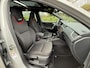 Skoda Octavia 2.0 TSI DSG RS 230 Challenge•Pano•NardoGrey
