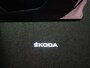 Skoda Kodiaq 1.5 TSI Business Edition 7p. DSG / Camera / Navi / Cruise