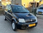 Fiat Panda 1.2 Edizione Exclusive 61.000 km NL-AUTO-NAP