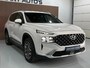 Hyundai Santa Fe 1.6 T-GDI PHEV Premium Plus Sky / Navigatie full Map / 360 Camera / Lederen interieur / Full option