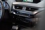 Lexus UX First Edition, Keyless, Stoel-stuurverwarming, Metallic, Totaal 10 jaar garantie!