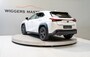 Lexus UX First Edition, Keyless, Stoel-stuurverwarming, Metallic, Totaal 10 jaar garantie!