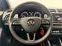 Skoda Fabia Combi 1.0 Business Edition Panoramadak Carplay Full-led