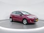Ford Fiesta 1.25 Titanium |X-PACK|CLIMA|ELEK PAKKET|LM VELGEN | 4827 / 18594