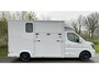 Renault Master Paardenwagen / Horsetruck / Veewagen 4000 KG C1 Nieuw & BPM vrij!