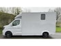 Renault Master Paardenwagen / Horsetruck / Veewagen 4000 KG C1 Nieuw & BPM vrij!
