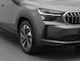 Skoda Kodiaq 1.5 TSI 204pk PHEV Business Edition | Trekhaak | Dynamic chassis | 360 camera | Light & View | Stoelverwarming voor & achter |
