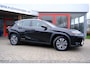 Lexus UX 300e Business 54 kWh Aut. Clima|Adapt. Cruise|LMV|Cam