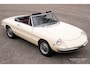 Alfa Romeo Spider 1300 Junior Duetto