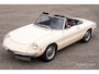 Alfa Romeo Spider 1300 Junior Duetto