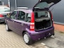 Fiat Panda 1.2 Edizione Cool (12 mnd BOVAG garantie)