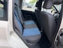 Fiat Panda 1.2 Edizione Cool NAP RIJDT GOED NAP APK 6-2027 TREKHAAK