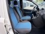 Fiat Panda 1.2 Edizione Cool NAP RIJDT GOED NAP APK 6-2027 TREKHAAK