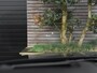 Mazda CX-5 2.5 SkyActiv-G 192 GT-M 4WD Leer Bose Camera adaptive cruise control 19 inch