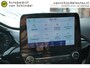 Ford Fiesta 1.0 ECOBOOST HYBRID TITANIUM ORIGINEEL NEDERLANDS NIEUW MODEL FULL LED ANDROID/APPLECARPLAY NAVI PARKEERSENSOREN ECC AIRCO CRUISECONTROL RIJSTROOKSENSOR 4X PERF ALL SEASON BANDEN ENZ...