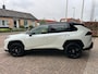 Toyota RAV4 2.5 Hybrid AWD Executive Bi-Tone|Leder|Apple CarPlay|19"LM