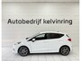 Ford Fiesta 1.0 EcoB. Titanium Bovag garantie Navi
