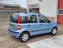 Fiat Panda 1.2 Edizione Cool