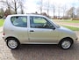 Fiat Seicento 1.1 Team LM Velgen ***Apk t/m 9-10-2026***Zuinige Auto***