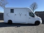 Renault Master | HORSETRUCK | STX | STALLION 3XL | 2017 | HENGST | 81.501KM | AUTOMAAT | 3-SEAT | 170PK | L3 | LUXEMBURG KENTEKEN