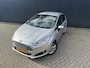 Ford Fiesta 1.0 EcoBoost Titanium | Trekhaak
