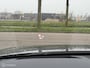 Audi A6 Avant 55 TFSI quattro Sport S-line Panodak HD Matrix HUD Navi Carplay Virtual B&O Audio
