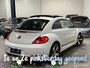 Volkswagen Beetle 1.4 TSI CUP | Pano | Fender Bass | Stoelve