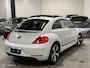 Volkswagen Beetle 1.4 TSI CUP | Pano | Fender Bass | Stoelve