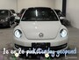 Volkswagen Beetle 1.4 TSI CUP | Pano | Fender Bass | Stoelve