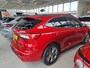 Ford Kuga 2.5 PHEV ST-Line | Winter pack | Panoramadak |