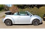 Volkswagen Beetle New Cabriolet 2.0 Trendline