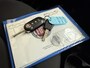 Fiat 500 1.0 Hybrid Dolcevita Finale AIRCO-NAVI by CARPLAY-MISTLAMP-PDC-CRUISE CONTROL
