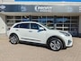 Kia Niro EV E-Niro DynamicPlusLine 39 kWh / Eerste eigenaar / Schuifdak / Uitmuntende staat / SOH 100%
