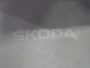 Skoda Octavia Combi 1.0 TSI 110pk Business Edition Navigatie Camera PDC Privacy glass 20