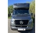 Mercedes-Benz Sprinter 319 Paardewagen / Horsetruck / Veewagen