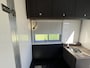 Mercedes-Benz Sprinter 319 Paardewagen / Horsetruck / Veewagen