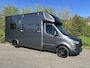 Mercedes-Benz Sprinter 319 Paardewagen / Horsetruck / Veewagen