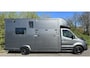 Mercedes-Benz Sprinter 319 Paardewagen / Horsetruck / Veewagen