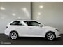 Skoda Fabia Combi 1.4 TDI Amb. Business [ NAP trekhaak cruise navi ]
