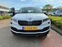 Skoda Karoq 1.5 TSI ACT 150pk DSG Business Edition Plus / Panoramadak / LED / Navi / Camera / Cruise Control