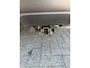 Peugeot 3008 1.2 PureTech Crossway distributieketting vervangen