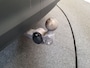 Volkswagen Tiguan 1.5 eTSI 130pk DSG/AUT Life Edition Wegklapbare trekhaak, Harman/Kardon, Camera