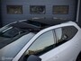 SEAT Ibiza FR Pro Black Edition, Pano, Stoelvwr, Vitrual, Camera