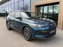 Volkswagen Tiguan 1.5 eTSI 150pk DSG GOAL | Trekhaak | 360 Camera | IQ light | Dode hoek | Elek. Achterklep | Rijklaar incl. garantie