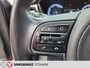 Kia Niro Hybrid 1.6 GDi ExecutiveLine, Met Trekhaak, Automaat, Zeer complete uitvoering