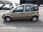 Fiat Panda 1.2 Edizione Cool