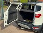 Ford EcoSport 1.0 EcoBoost Titanium S NAVI CRUISE NAP 99DKM TREKHAAK