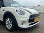 MINI Cooper Mini Cabrio 1.5 Cabrio Pepper Serious Business - Leder - Navi - Camera